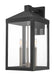 Nyack 3-Light Outdoor Wall Lantern - Lamps Expo