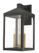 Nyack 3-Light Outdoor Wall Lantern - Lamps Expo