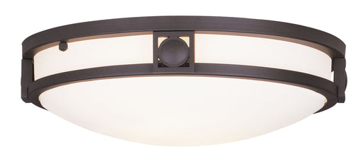 Titania 2-Light Ceiling Mount - Lamps Expo