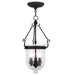 Jefferson 3-Light Chain Lantern - Lamps Expo