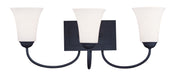 Ridgedale 3-Light Bath Vanity in Black - Lamps Expo