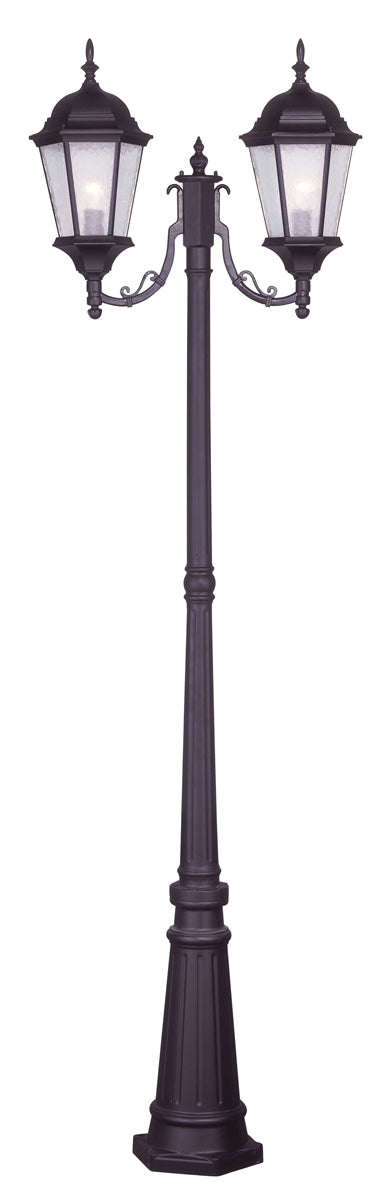 Hamilton 2-Light Outdoor 2 Head Post in Bronze - Lamps Expo