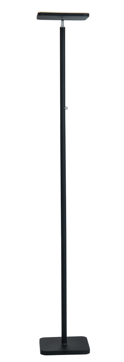 Hector LED Torch Lamp in Black, Type LED Panel 30W