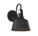 1-Light Outdoor Wall Lantern in Matte Black
