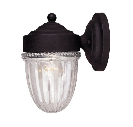 Meridian (M50060TB) 1-Light Outdoor Wall Lantern in Textured Black