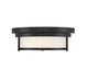 Meridian (M60062MBK) 2-Light Ceiling Light in Matte Black