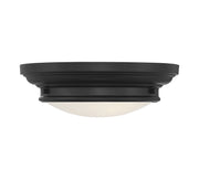 2-Light Ceiling Light in Matte Black