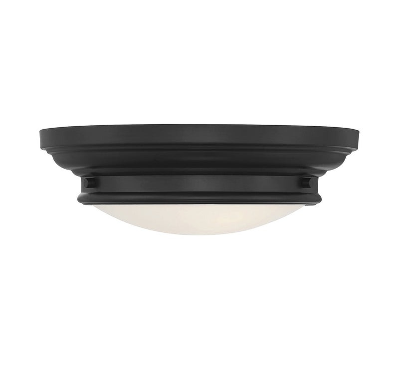 2-Light Ceiling Light in Matte Black