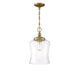 1-Light Pendant in Natural Brass