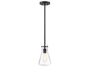 1-Light Pendant in Matte Black