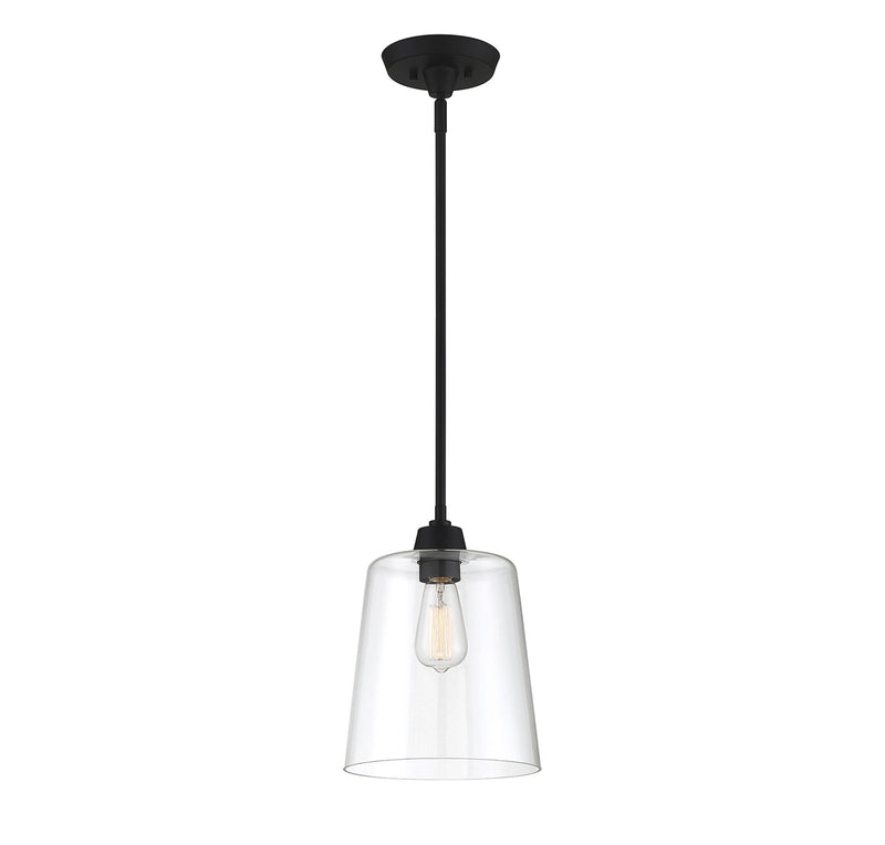 1-Light Pendant in Matte Black