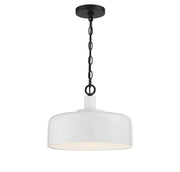1-Light Pendant in White with Black