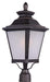 Knoxville 1-Light Outdoor Pole/Post Lantern in Bronze - Lamps Expo