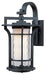 Oakville 1-Light Outdoor Wall Lantern in Black Oxide with Water Glass - Lamps Expo