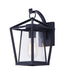 Artisan 1-Light Outdoor Wall Mount in Black with Clear Glass - Lamps Expo
