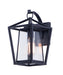 Artisan 1-Light Outdoor Wall Mount in Black with Clear Glass - Lamps Expo