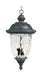 Carriage House DC 3-Light Outdoor Hanging Lantern in Oriental Bronze - Lamps Expo