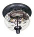 Carriage House 2-Light Outdoor Ceiling Mount in Oriental Bronze - Lamps Expo