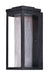 Salon Outdoor LED Wall Sconce in Black - Lamps Expo