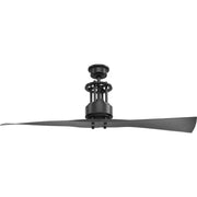 Spades 56" 2-Blade Ceiling Fan - Lamps Expo