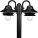 Newport 2-Light Post Lantern - Lamps Expo