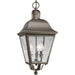 Andover 3-Light Hanging Lantern - Lamps Expo