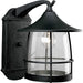 Prairie 1-Light Wall Lantern - Lamps Expo