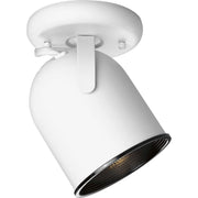 1-Light Multi-Directional Roundback Wall/Ceiling Fixture - Lamps Expo