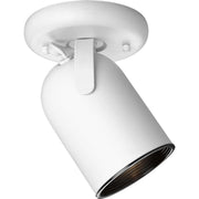 1-Light Multi-Directional Roundback Wall/Ceiling Fixture - Lamps Expo
