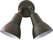2-Light PAR Flood Light - Lamps Expo