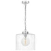 Abner 1-Light Mini Pendant in Polished Chrome