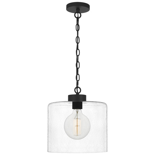 Abner 1-Light Mini Pendant in Matte Black
