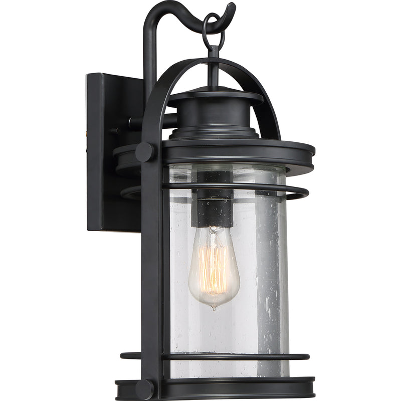 Booker 1-Light Outdoor Lantern in Mystic Black