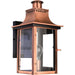 Chalmers 1-Light Outdoor Lantern in Aged Copper
