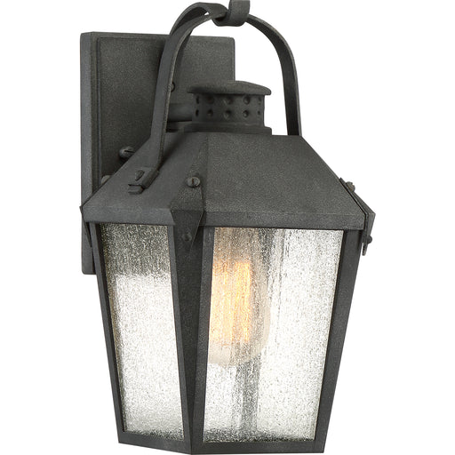 Carriage 1-Light Outdoor Lantern in Mottled Black
