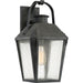Carriage 1-Light Outdoor Lantern in Mottled Black