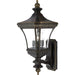 Devon 3-Light Outdoor Lantern in Imperial Bronze