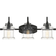 Danbury 3-Light Bath Vanity in Earth Black