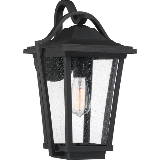 Darius 1-Light Outdoor Lantern in Earth Black