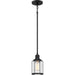 Ludlow 1-Light Mini Pendant in Earth Black