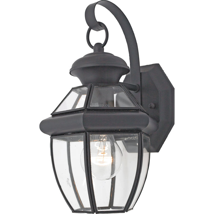 Newbury 1-Light Outdoor Lantern in Mystic Black