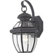Newbury 1-Light Outdoor Lantern in Mystic Black