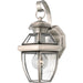 Newbury 1-Light Outdoor Lantern in Pewter