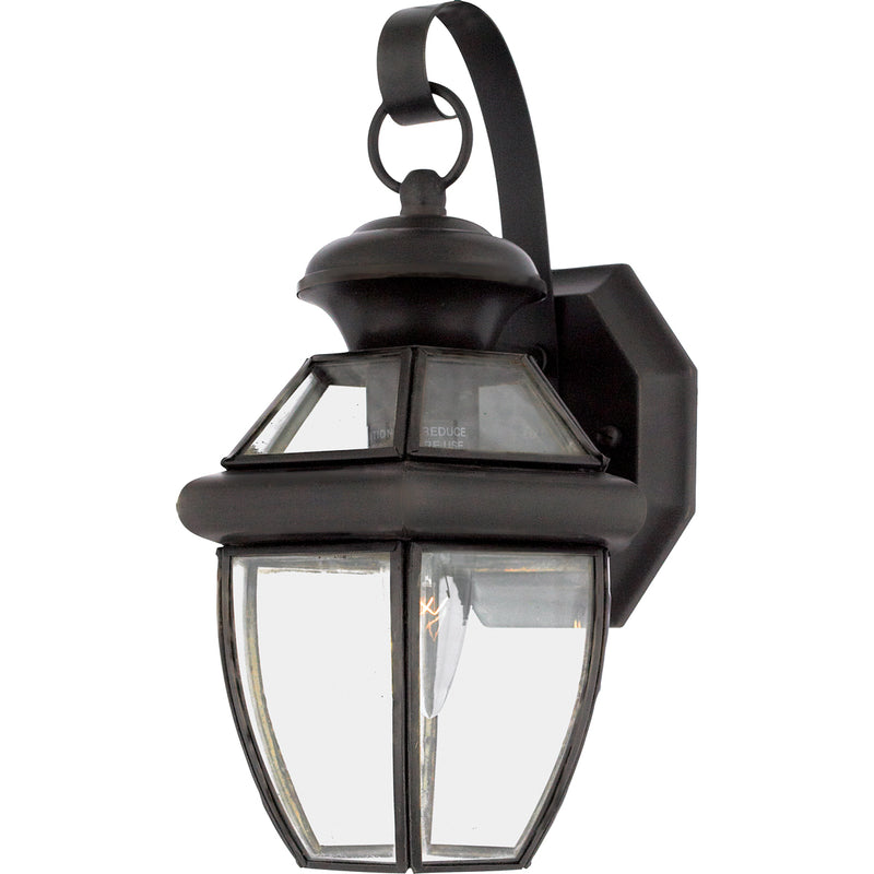 Newbury 1-Light Outdoor Lantern in Medici Bronze