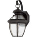 Newbury 1-Light Outdoor Lantern in Medici Bronze