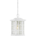 Stonington 1-Light Outdoor Lantern in White Lustre