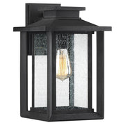 Wakefield 1-Light Outdoor Lantern in Earth Black