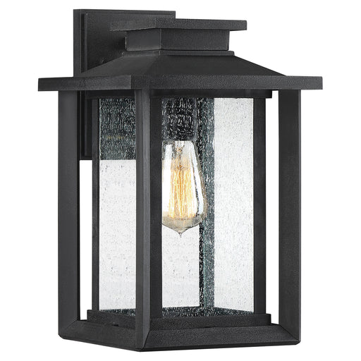Wakefield 1-Light Outdoor Lantern in Earth Black