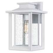 Wakefield 1-Light Outdoor Sconce in White Lustre