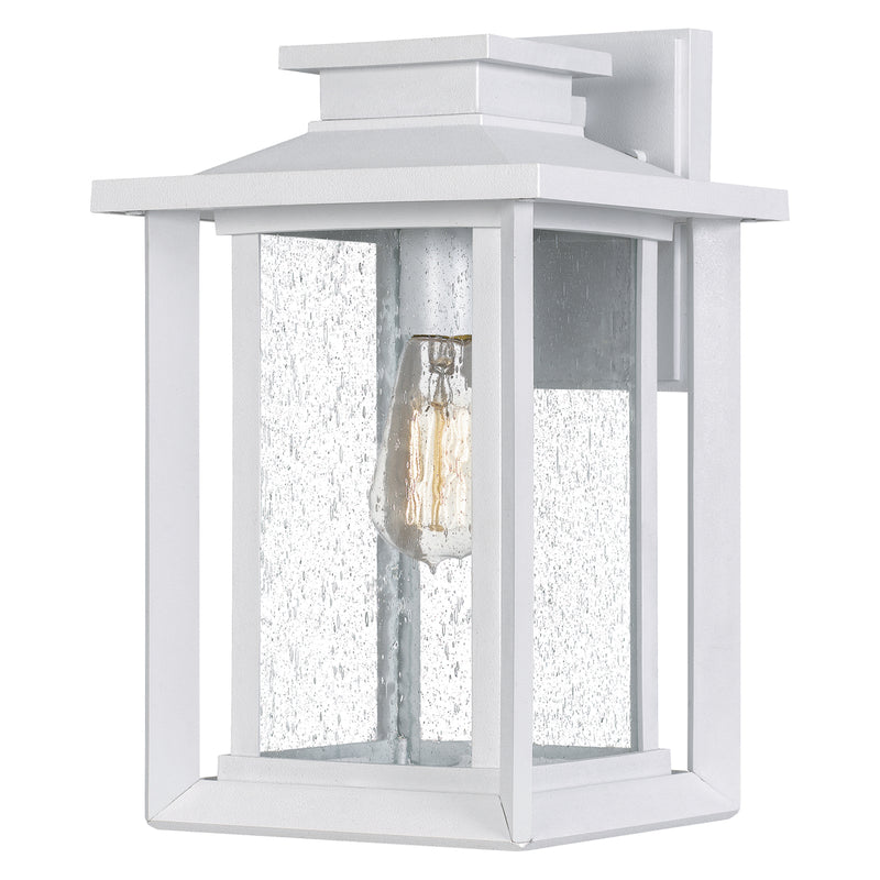 Wakefield 1-Light Outdoor Sconce in White Lustre